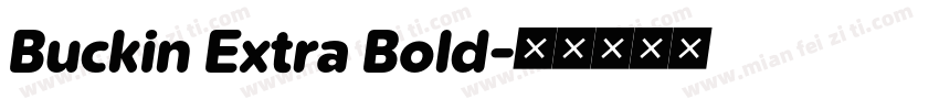 Buckin Extra Bold字体转换